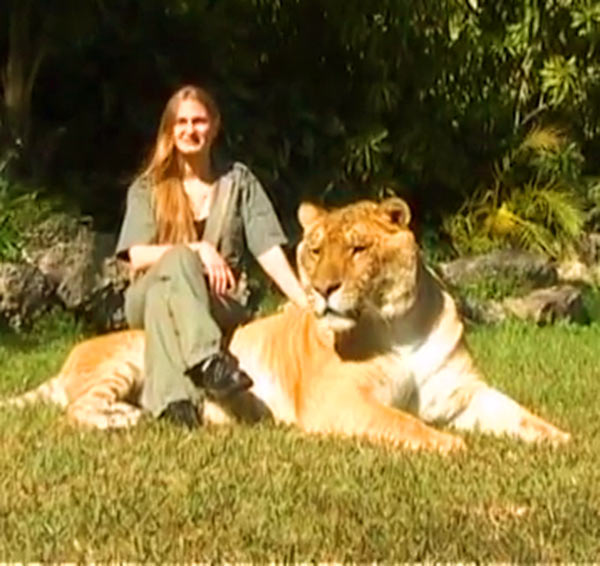 Guinness World Records 2006 - China York and Hercules the liger both appeared within Guinness Book of World Records. 