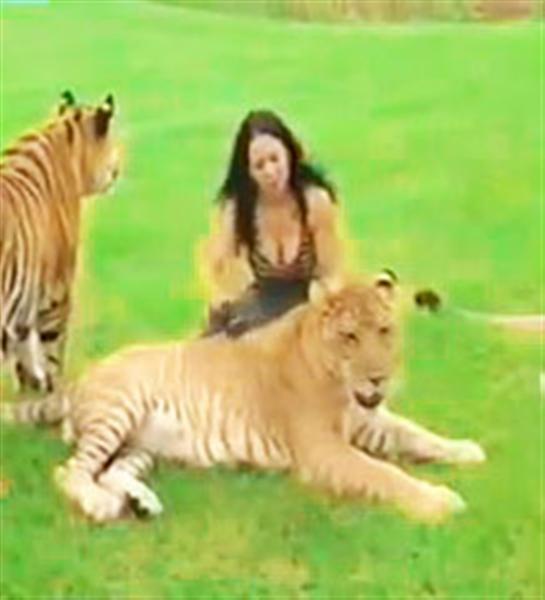 Hercules the liger with Rajani Ferrante when it was a small cub.